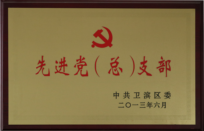 先進(jìn)黨（總）支部